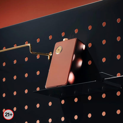 原廠正品 新款 棕色 現貨 DOTMOD DOTAIO V2 佩特里V2 / V2 lite 75W VC蒸氣