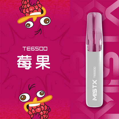 原廠正品 老闆推薦 MISTX TE6500 鴨嘴獸 一次性 拋棄式 電子煙 小煙 小菸 20種口味 透明設計可看油量